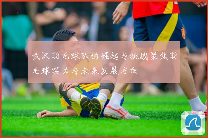 武汉羽毛球队的崛起与挑战聚焦羽毛球实力与未来发展方向
