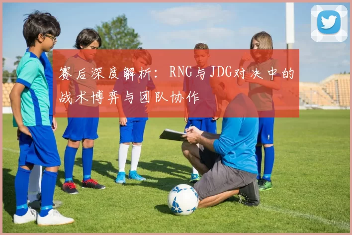 赛后深度解析：RNG与JDG对决中的战术博弈与团队协作