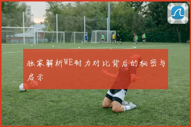 独家解析WE耐力对比背后的秘密与启示