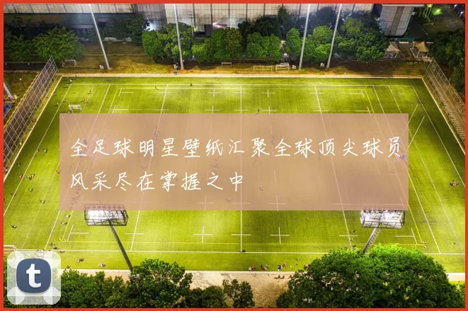 全足球明星壁纸汇聚全球顶尖球员风采尽在掌握之中