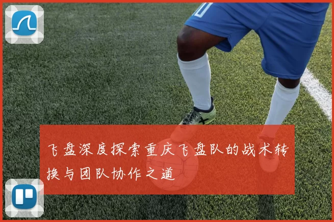 飞盘深度探索重庆飞盘队的战术转换与团队协作之道