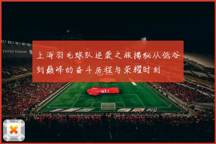 上海羽毛球队逆袭之旅揭秘从低谷到巅峰的奋斗历程与荣耀时刻