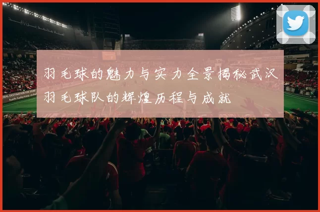 羽毛球的魅力与实力全景揭秘武汉羽毛球队的辉煌历程与成就