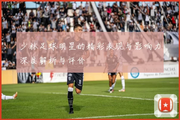 少林足球明星的精彩表现与影响力深度解析与评价