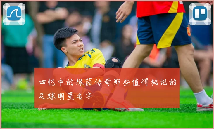 回忆中的绿茵传奇那些值得铭记的足球明星名字