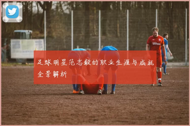 足球明星范志毅的职业生涯与成就全景解析