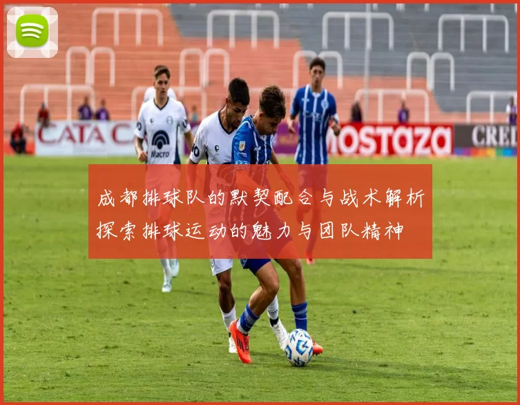 成都排球队的默契配合与战术解析探索排球运动的魅力与团队精神