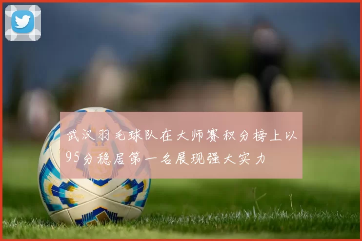 武汉羽毛球队在大师赛积分榜上以95分稳居第一名展现强大实力