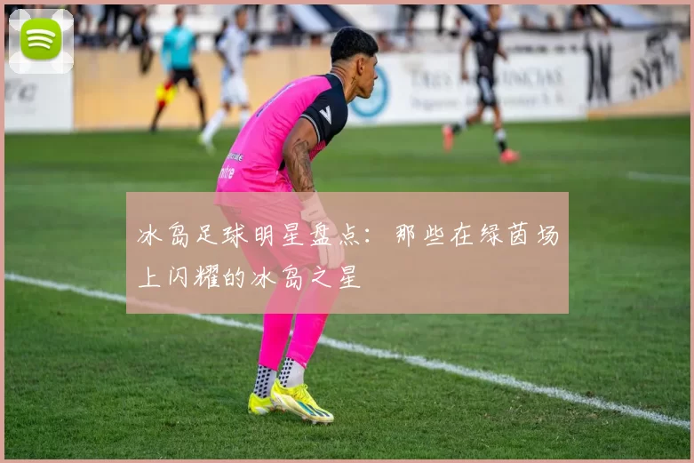 冰岛足球明星盘点：那些在绿茵场上闪耀的冰岛之星