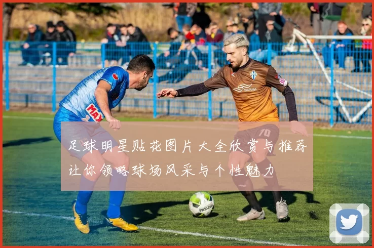 足球明星贴花图片大全欣赏与推荐让你领略球场风采与个性魅力