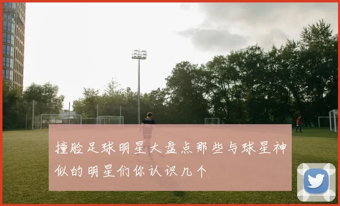 撞脸足球明星大盘点那些与球星神似的明星们你认识几个