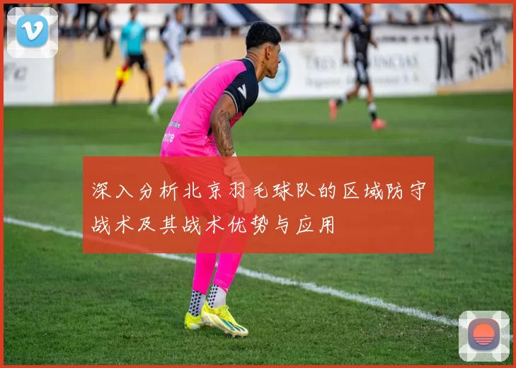 深入分析北京羽毛球队的区域防守战术及其战术优势与应用