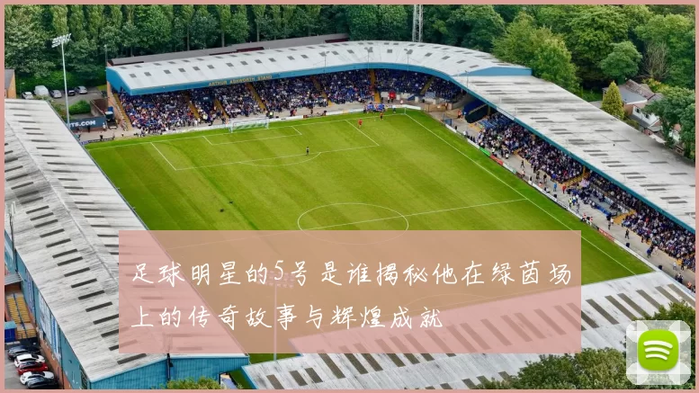 足球明星的5号是谁揭秘他在绿茵场上的传奇故事与辉煌成就