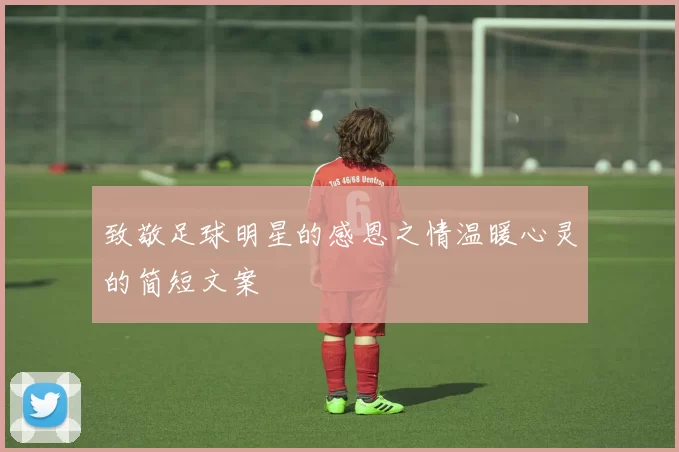 致敬足球明星的感恩之情温暖心灵的简短文案