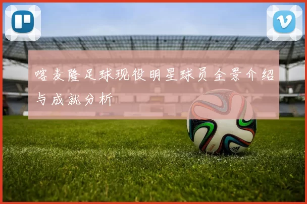 喀麦隆足球现役明星球员全景介绍与成就分析