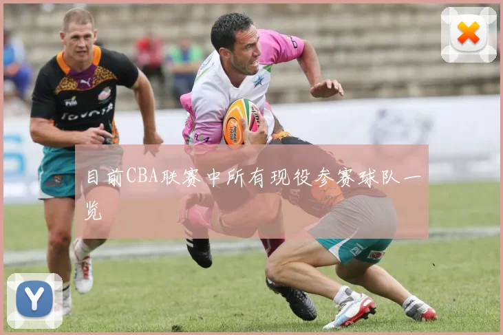 目前CBA联赛中所有现役参赛球队一览