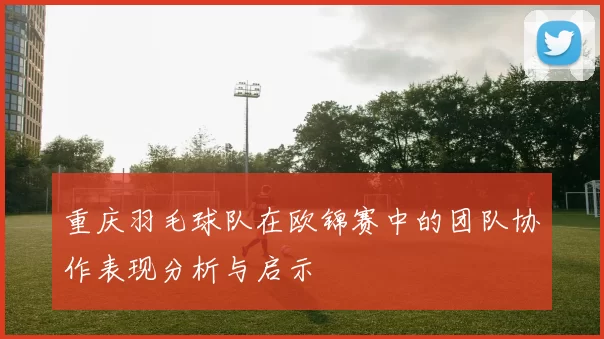 重庆羽毛球队在欧锦赛中的团队协作表现分析与启示