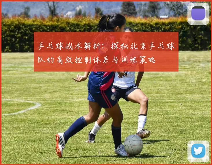 乒乓球战术解析：探秘北京乒乓球队的高效控制体系与训练策略
