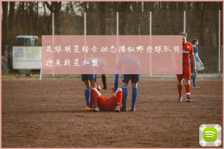 足球明星转会动态揭秘哪些球队将迎来新星加盟